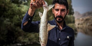 دادستان آلوده کردن یک رودخانه و مرگ هزاران ماهی که تحت پیگرد قرار گرفت