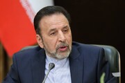 دلنوشته واعظی برای اکبر ترکان، سیاستمداری عاشق ایران