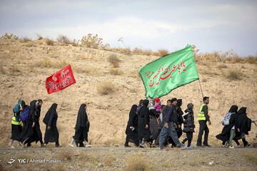 زائران در مسیر حرم امام رضا(ع)
