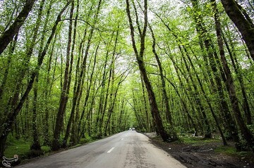 منطقه گردشگری گیسوم گیلان