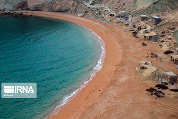 ساحل آلپی