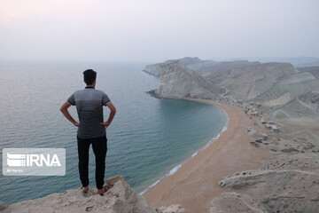 ساحل آلپی