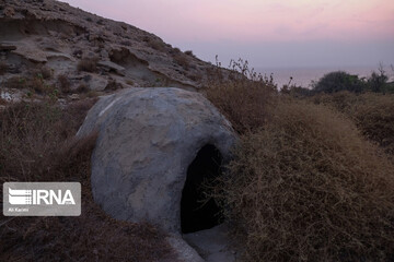 ساحل آلپی