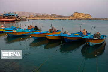 ساحل آلپی
