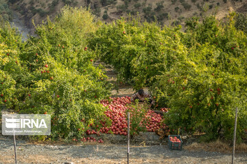 روستای سرریز استان کردستان