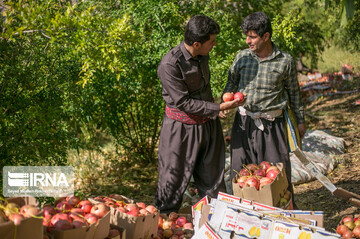 روستای سرریز استان کردستان