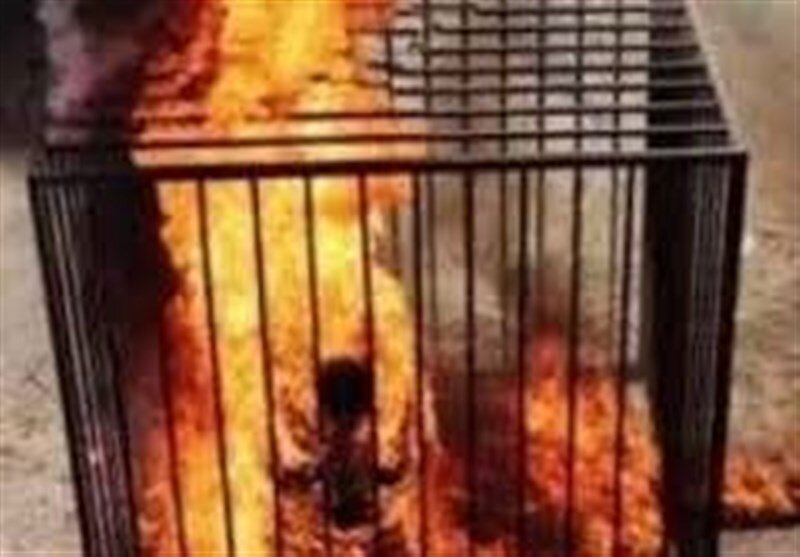 نگاهی به وحشتناک‌ترین جنایات ابوبکر البغدادی +تصاویر