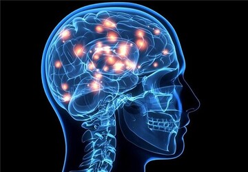زالو درمانی برای سکته مغزی خطرناک است؟