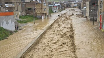 سیلاب در تربت جام یک کشته گرفت