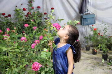 گزارش تصویری/