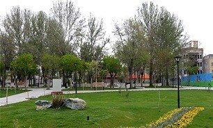 معاون شهردار تهران: ۵۶ هکتار بوستان از سال ۹۶ احداث شد