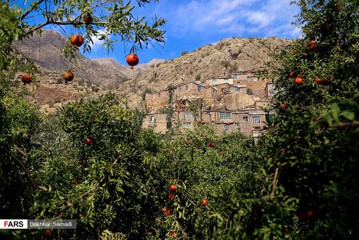  ۲۰ پیش نشست برای همایش بین المللی هورامان برگزار می‌شود