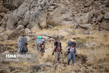 شاغلان کوهستانی