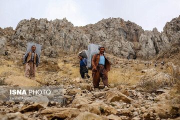 شاغلان کوهستانی