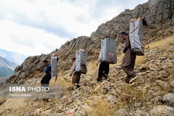شاغلان کوهستانی