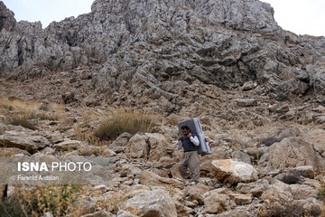 شاغلان کوهستانی