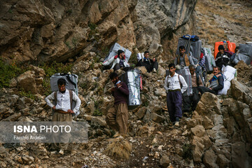 شاغلان کوهستانی
