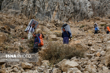 شاغلان کوهستانی