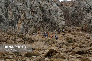 شاغلان کوهستانی