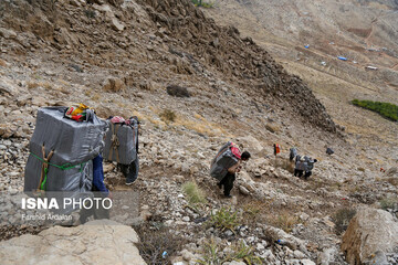 شاغلان کوهستانی