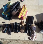 متخلفین زنده گیری پرندگان شکاری در خرم آباد دستگیر شدند