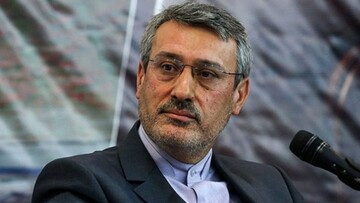 Envoy urges remaining parties to abide by JCPOA