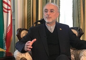 صالحی عنوان کرد:گزینه‌های پیش روی ایران بازنگری در اجرای پروتکل الحاقی و «ان‌پی‌تی»
