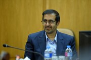 بیخانمانهای تحت پوشش شهرداری تهران, بیخانمانها