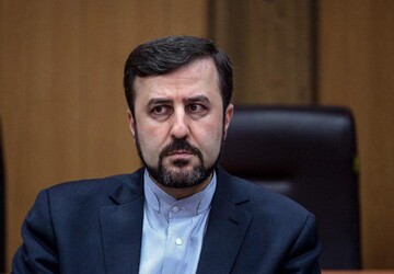 Iran expects IAEA not to aggrandize routine Safeguards examination