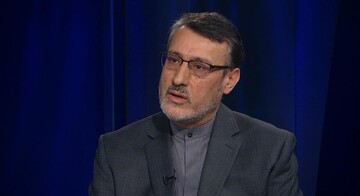 السفير بعيدي نجاد: الشعب الايراني لن ينسى خبث القنوات المناهضة