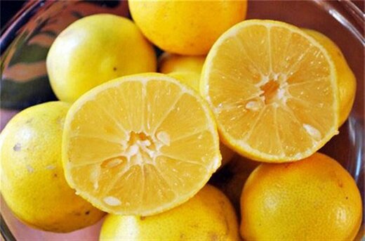 صادرات لیموترش و لیمو شیرین ممنوع شد