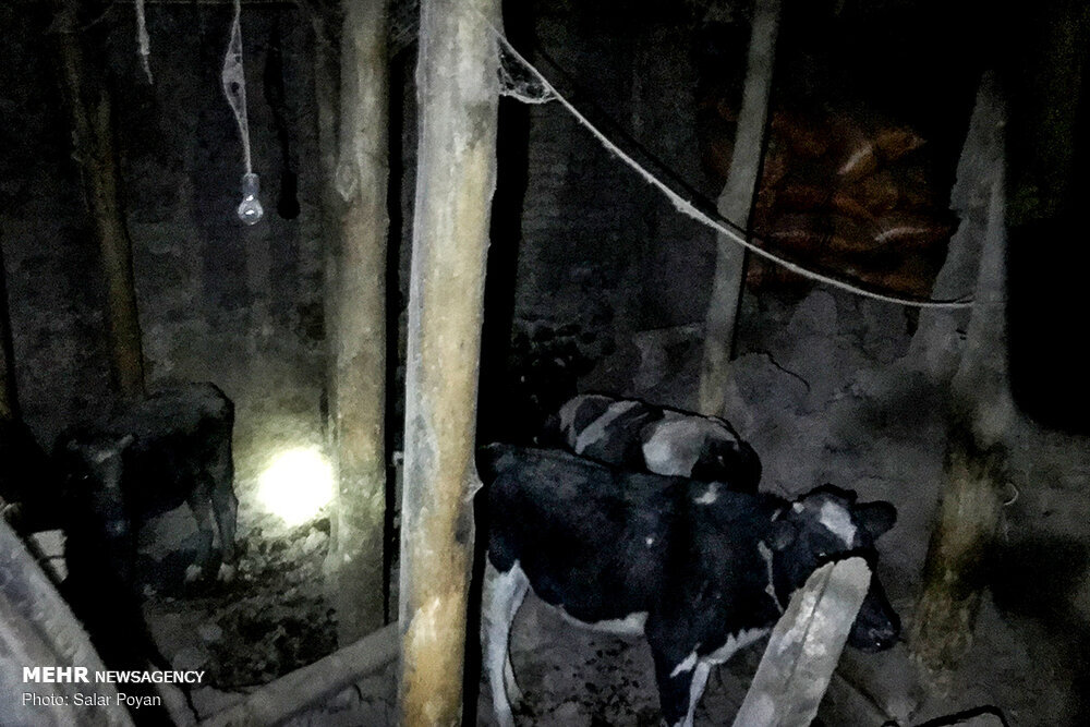 خسارت زلزله