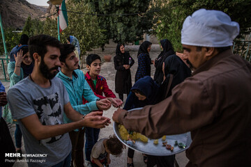 زندگی درتاروپودتنبور