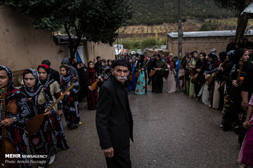 زندگی درتاروپودتنبور