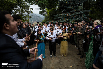 زندگی درتاروپودتنبور