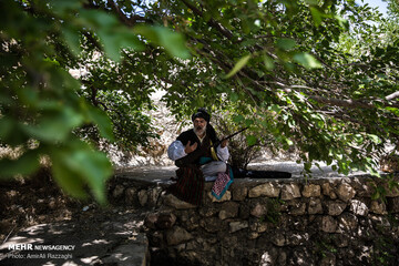 زندگی درتاروپودتنبور