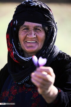 زعفران