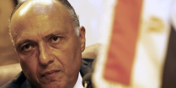ادامه درگیری‌های لفظی بین قاهره و آنکارا؛ پاسخ وزیر خارجه مصر به اردوغان