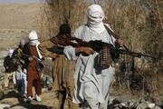 روش‌های عجیب اعضای طالبان برای کسب درآمد