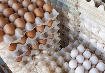 حذف بسته‌بندی تخم‌مرغ برای کاهش قیمت!