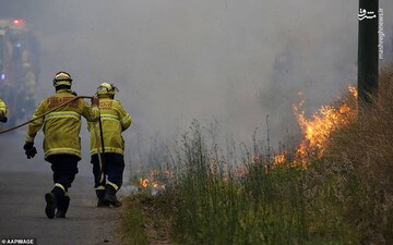 آتش‌سوزی استرالیا به یک قدمی سیدنی رسید