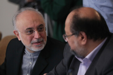 جلسه هیئت دولت برگزار شد