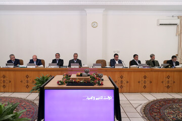 جلسه هیئت دولت برگزار شد