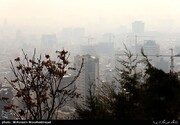 پیامدهای عجیب آلودگی‌هوا؛ از خودکشی تا چاقی