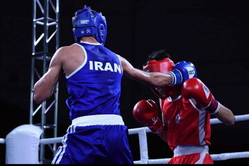 4 بوکسور ایران برای المپیکی شدن می‌جنگند