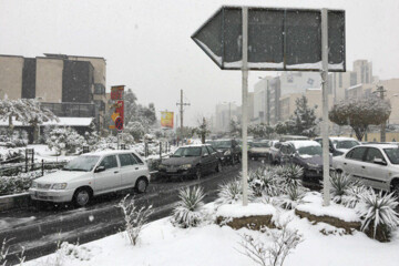 بارش نخستین برف پاییزی در تهران/ پایتخت تا کی برفی است؟ 