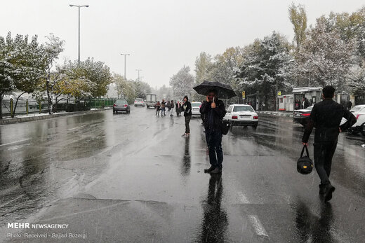 برف پایزی تهران راسفیدپوش کرد