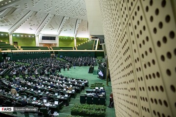 مردم درگیر قیمت بنزین، پایداری‌ها به دنبال رای‌ جمع کردن برای طرح دوتابعیتی‌ها/رحیمی: چرا وقت مجلس را می‌گیرید؟