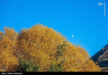 باغ‌شهر هیر در فصل رنگ‌ها
