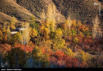 باغ‌شهر هیر در فصل رنگ‌ها